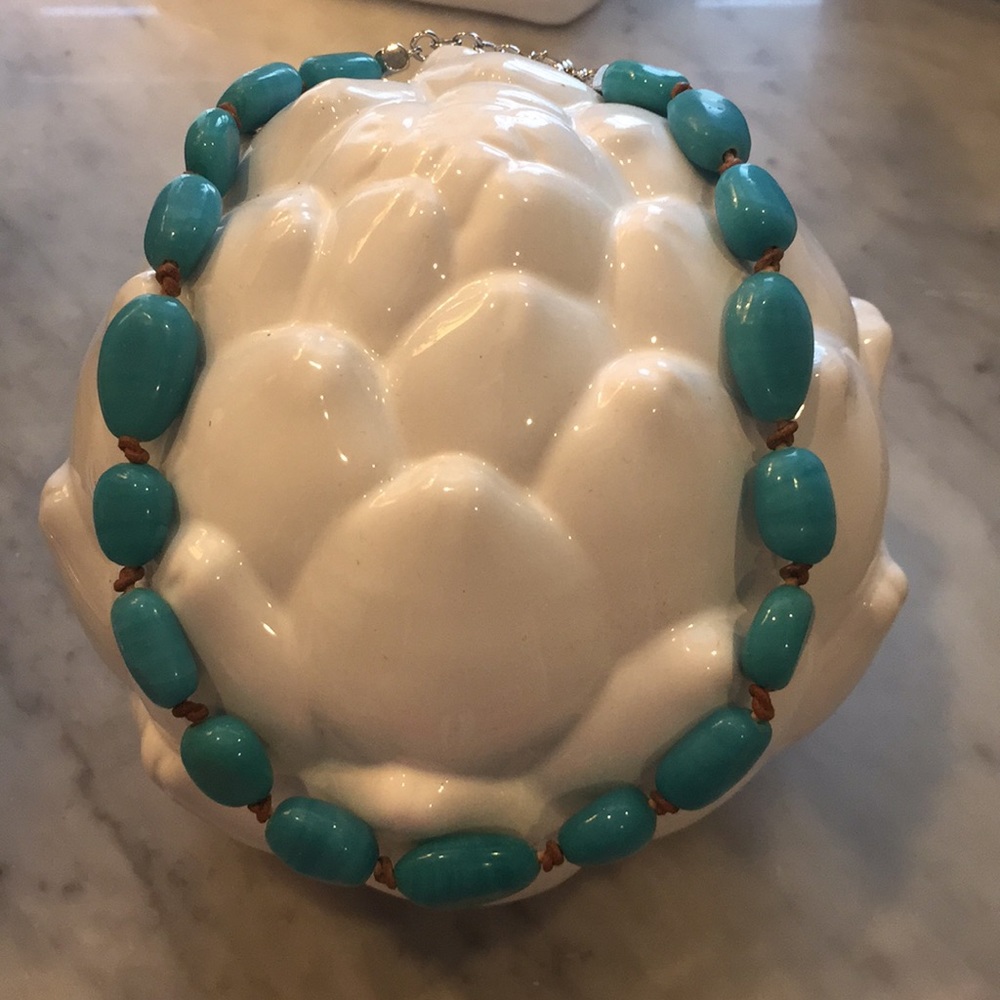 Turquoise Necklace with Knotted Leather